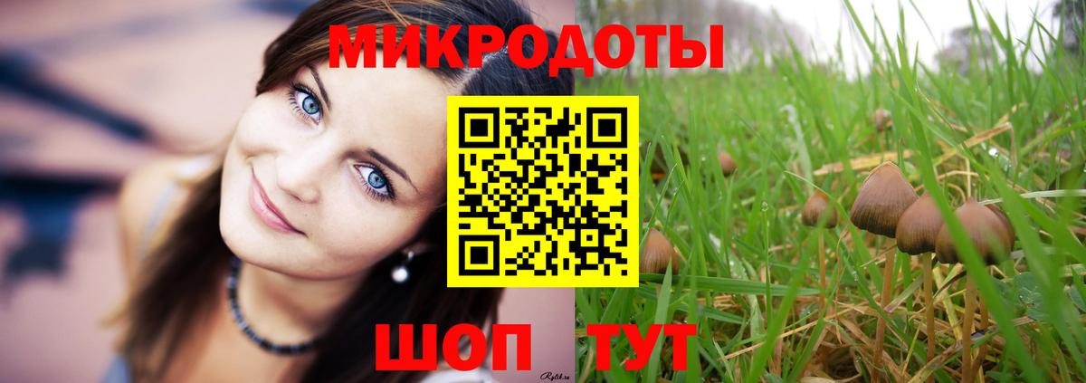 Галлюциногенные грибы мухоморы  купить наркоту  Нижний Тагил  Вход с VPN 